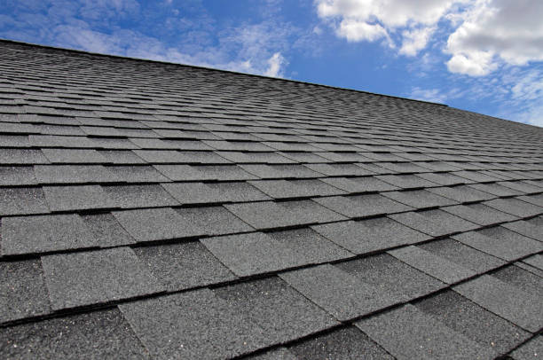 Best Roof Maintenance and Cleaning  in Terryville, NY